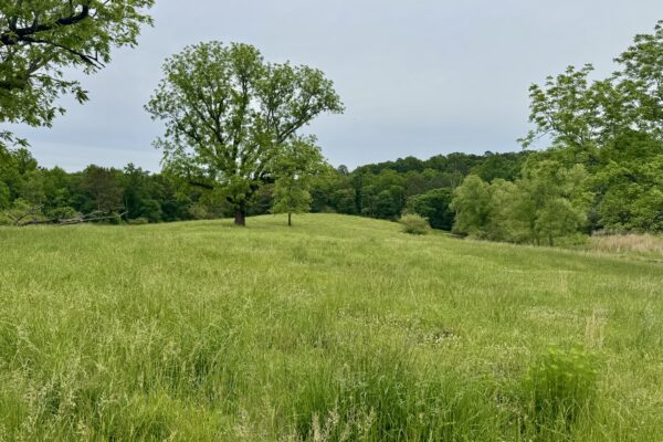 Photo of 138-acres-of-lush-pastures-with-barn