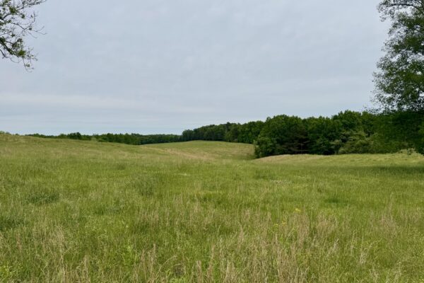 Photo of 138-acres-of-lush-pastures-with-barn