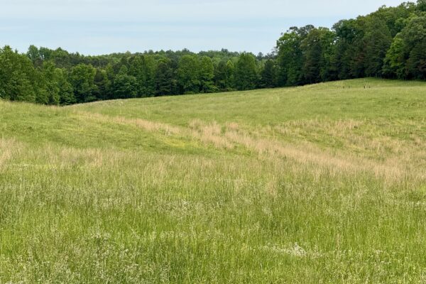 Photo of 138-acres-of-lush-pastures-with-barn