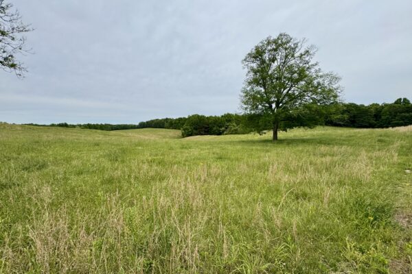 Photo of 138-acres-of-lush-pastures-with-barn