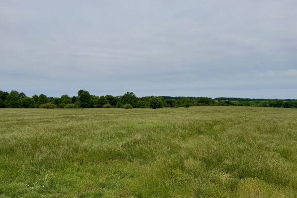 Photo of 100-acres-with-pastures-2-ponds-and-barn-boaz-marshall-county-al-auction