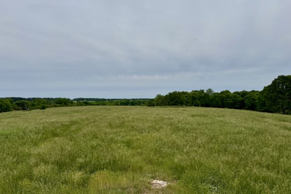 Photo of 100-acres-with-pastures-2-ponds-and-barn-boaz-marshall-county-al-auction