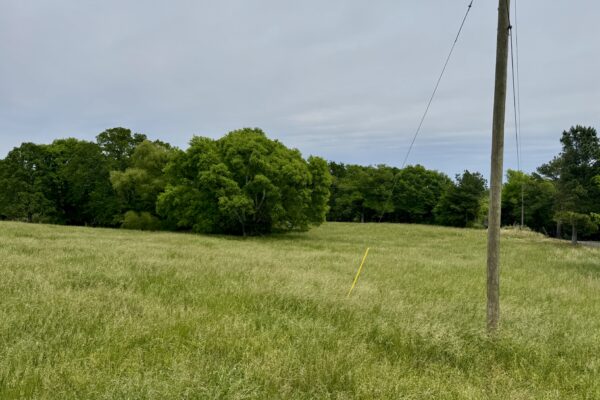 Photo of 100-acres-with-pastures-2-ponds-and-barn-boaz-marshall-county-al-auction