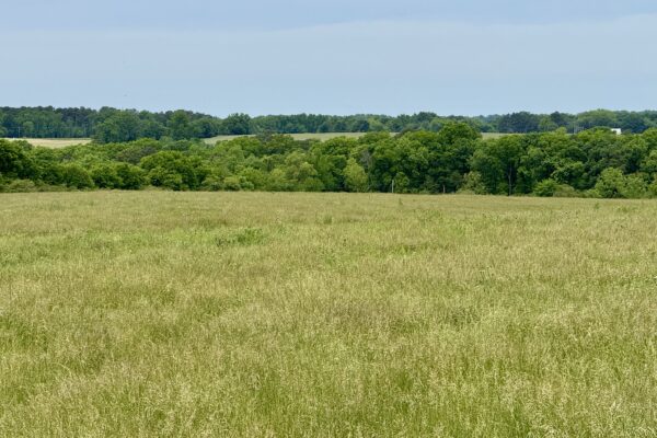 Photo of 100-acres-with-pastures-2-ponds-and-barn-boaz-marshall-county-al-auction