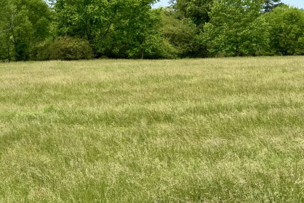 Photo of 100-acres-with-pastures-2-ponds-and-barn-boaz-marshall-county-al-auction