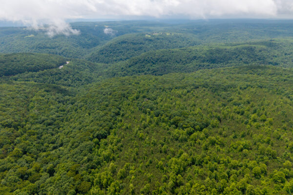 Photo of 1046-acres-of-protected-scenic-wilderness-dunlap-sequatchie-county-tn-absolute-online-auction