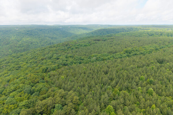 Photo of 1046-acres-of-protected-scenic-wilderness-dunlap-sequatchie-county-tn-absolute-online-auction