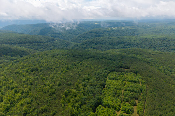 Photo of 1046-acres-of-protected-scenic-wilderness-dunlap-sequatchie-county-tn-absolute-online-auction