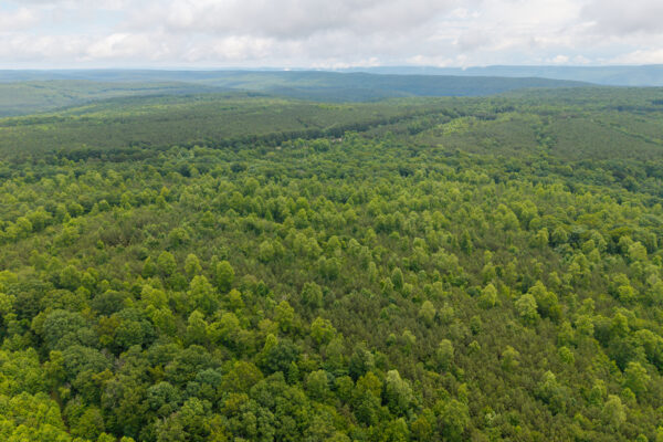 Photo of 1046-acres-of-protected-scenic-wilderness-dunlap-sequatchie-county-tn-absolute-online-auction