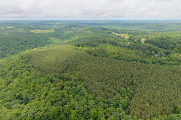 Photo of 1046-acres-of-protected-scenic-wilderness-dunlap-sequatchie-county-tn-absolute-online-auction