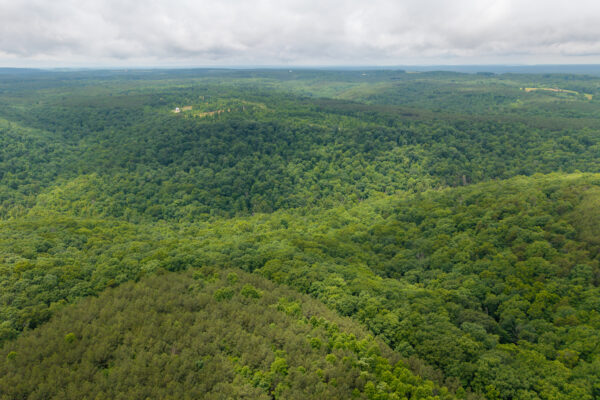 Photo of 1046-acres-of-protected-scenic-wilderness-dunlap-sequatchie-county-tn-absolute-online-auction