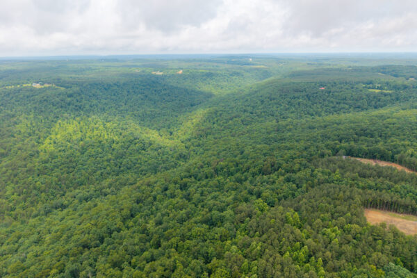 Photo of 1046-acres-of-protected-scenic-wilderness-dunlap-sequatchie-county-tn-absolute-online-auction