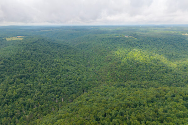 Photo of 1046-acres-of-protected-scenic-wilderness-dunlap-sequatchie-county-tn-absolute-online-auction