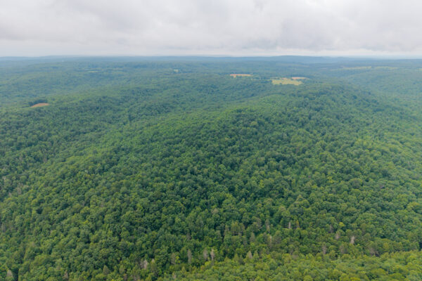 Photo of 1046-acres-of-protected-scenic-wilderness-dunlap-sequatchie-county-tn-absolute-online-auction