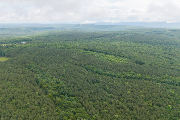 Photo of 1046-acres-of-protected-scenic-wilderness-dunlap-sequatchie-county-tn-absolute-online-auction