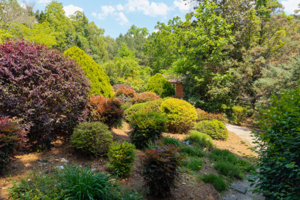 Photo of 38-acres-with-home-equestrian-barn-and-equipment-ringgold-catoosa-county-ga-auction