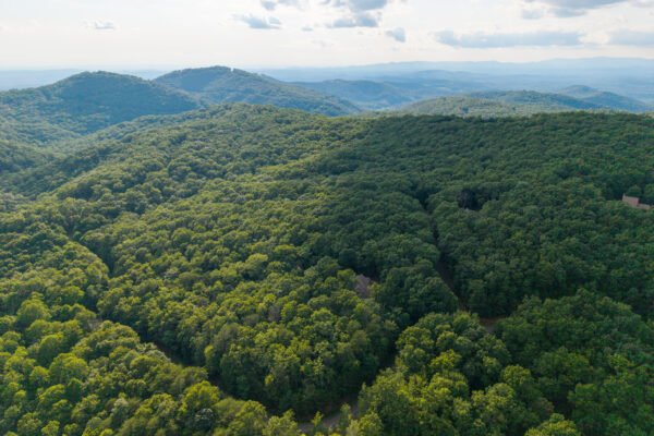 Photo of 3-51-acre-luxury-mountain-estate-ellijay-gilmer-county-ga-online-auction