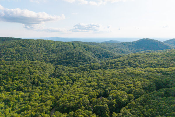 Photo of 3-51-acre-luxury-mountain-estate-ellijay-gilmer-county-ga-online-auction