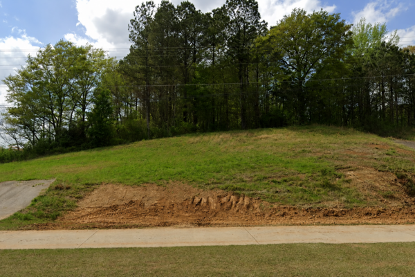 Photo of 1-28-acres-dallas-paulding-county-georgia-auction