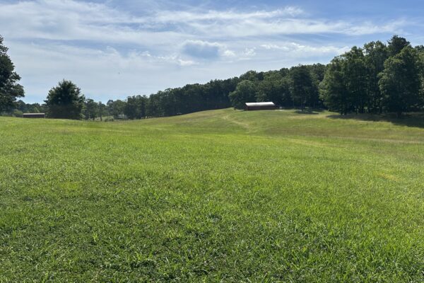 Photo of 24%c2%b1-acres-with-2-homes-rome-floyd-county-ga-absolute-auction