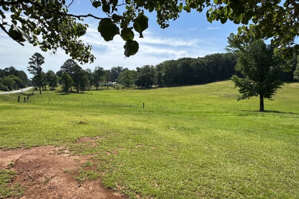 Photo of 24%c2%b1-acres-with-2-homes-rome-floyd-county-ga-absolute-auction