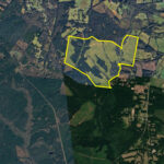 496± acres fronting Hard Labor Creek | Greenwood, Greenwood County, SC Auction