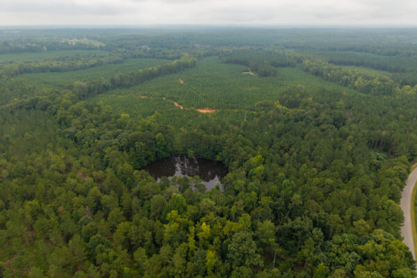 Photo of 496-acres-fronting-hard-labor-creek