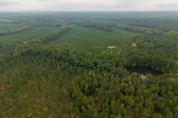 Photo of 496-acres-fronting-hard-labor-creek