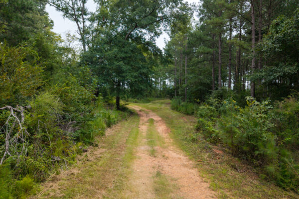 Photo of 496-acres-fronting-hard-labor-creek