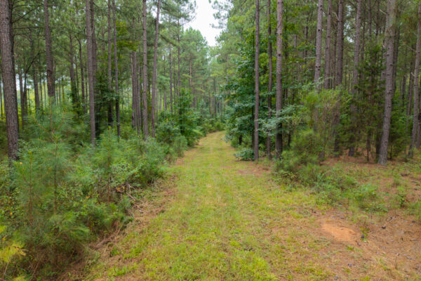 Photo of 496-acres-fronting-hard-labor-creek
