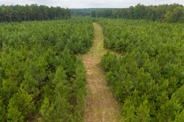Photo of 496-acres-fronting-hard-labor-creek