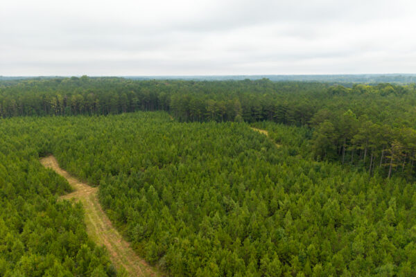 Photo of 496-acres-fronting-hard-labor-creek