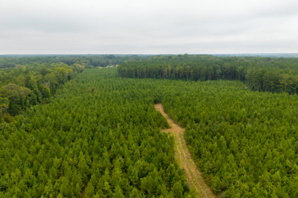 Photo of 496-acres-fronting-hard-labor-creek