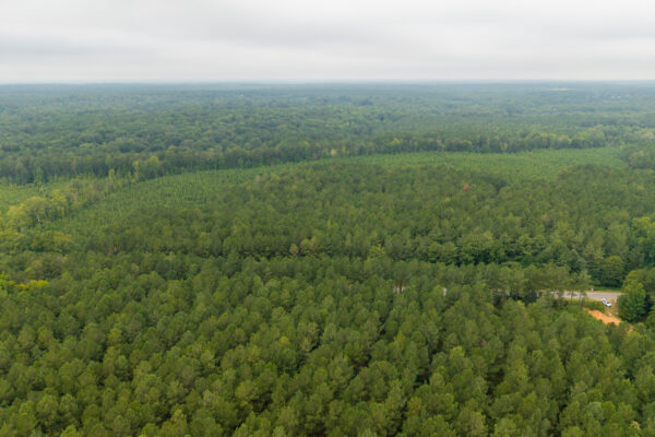 Photo of 496-acres-fronting-hard-labor-creek