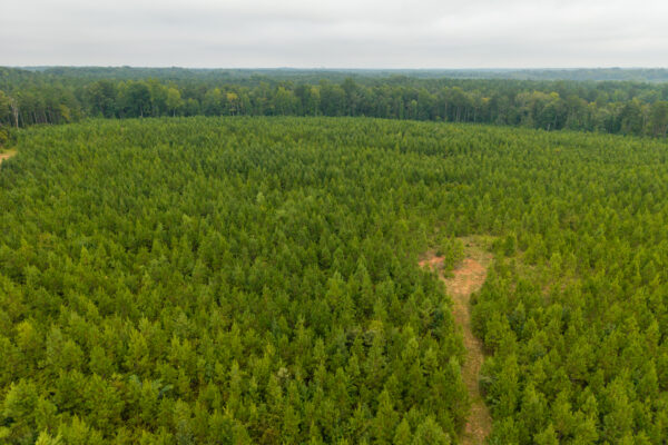 Photo of 496-acres-fronting-hard-labor-creek