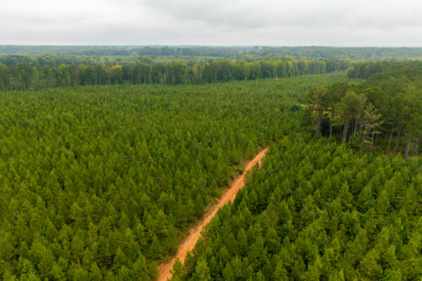 Photo of 496-acres-fronting-hard-labor-creek