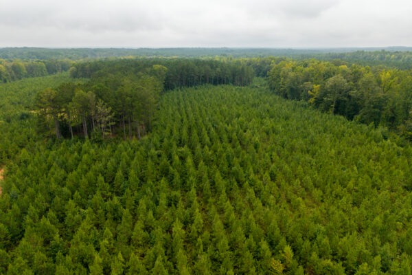 Photo of 496-acres-fronting-hard-labor-creek