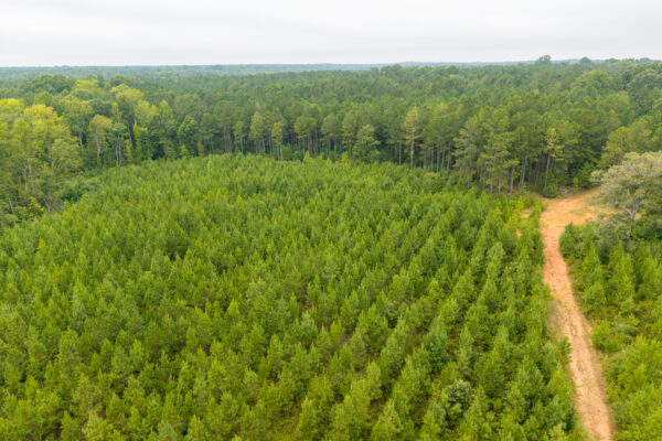 Photo of 496-acres-fronting-hard-labor-creek