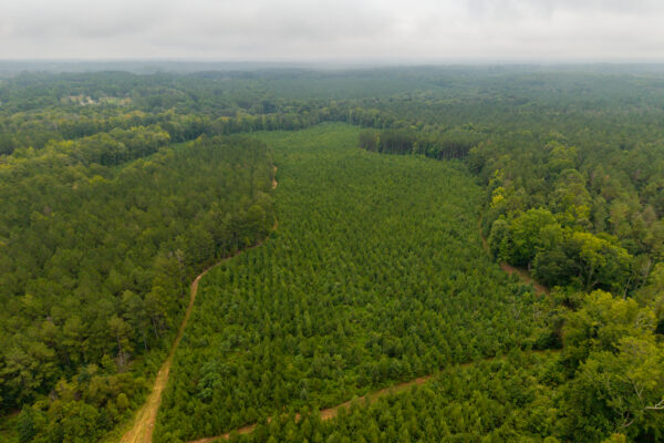Photo of 496-acres-fronting-hard-labor-creek