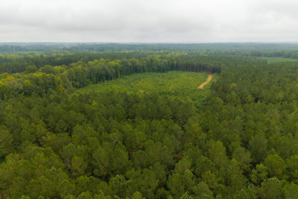 Photo of 496-acres-fronting-hard-labor-creek