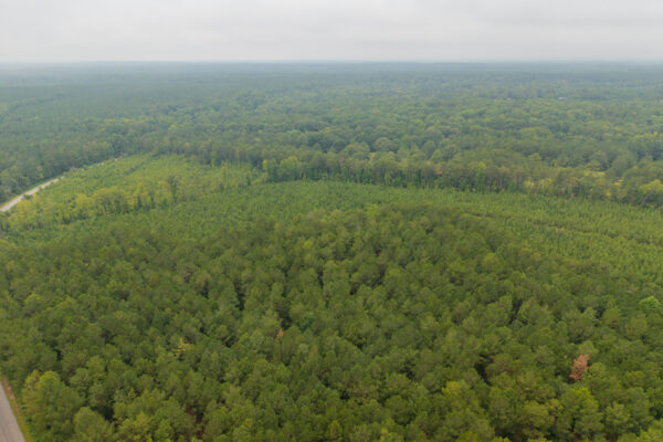 Photo of 496-acres-fronting-hard-labor-creek