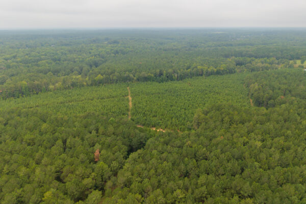 Photo of 496-acres-fronting-hard-labor-creek