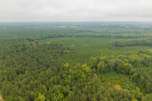 Photo of 496-acres-fronting-hard-labor-creek