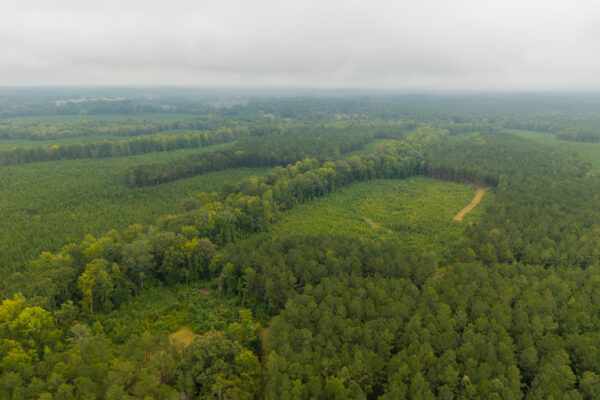 Photo of 496-acres-fronting-hard-labor-creek