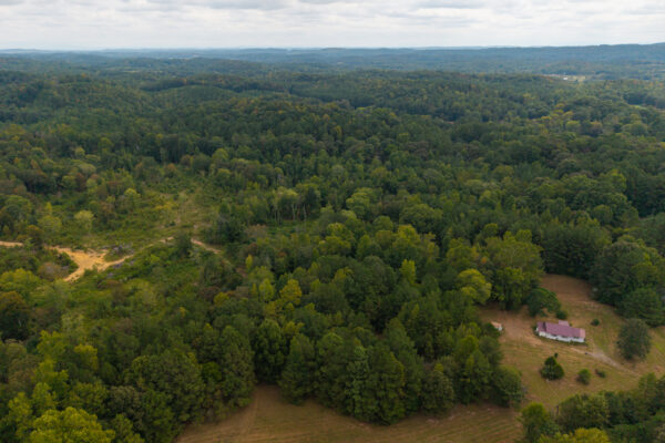 Photo of 40-acres-with-home-plainville-gordon-county-ga-auction