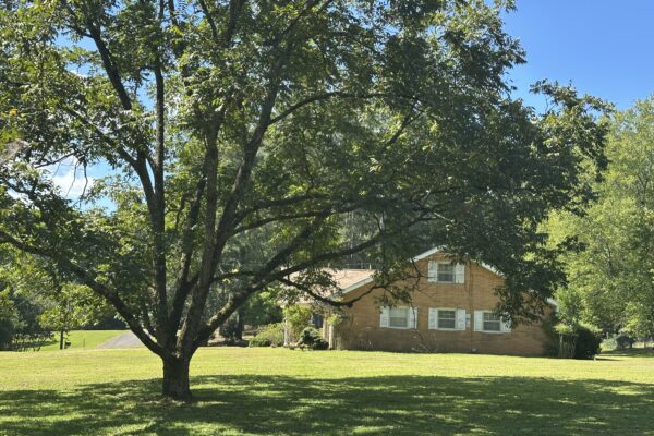 Photo of executive-home-on-2-75-acres-summerville-ga-absolute-auction