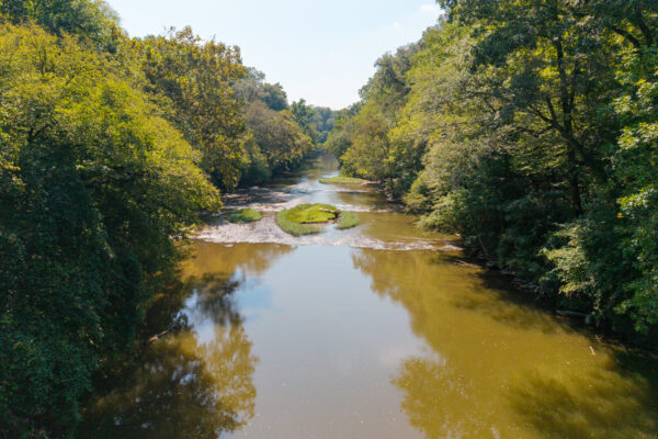 Photo of Rare 8± Acres on the Cahaba River | Helena, Shelby County, AL Online Auction