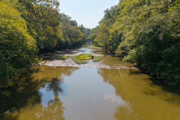 Photo of Rare 8± Acres on the Cahaba River | Helena, Shelby County, AL Online Auction