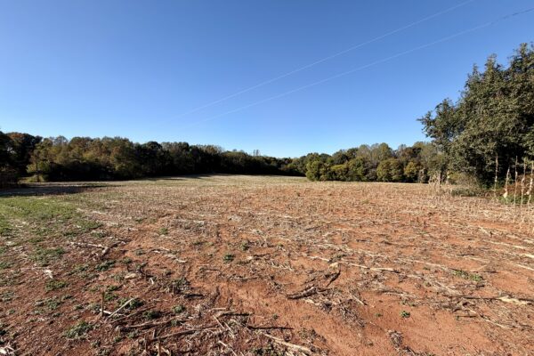 Photo of 77± Acres of Prime Land | Liberty, Randolph County, NC Auction