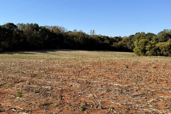 Photo of 77± Acres of Prime Land | Liberty, Randolph County, NC Auction